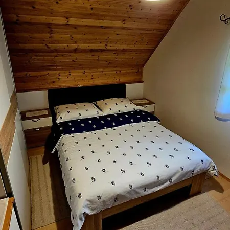 Srcek Holiday home *