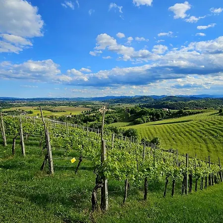 Srcek Σπίτι διακοπών Bizeljsko