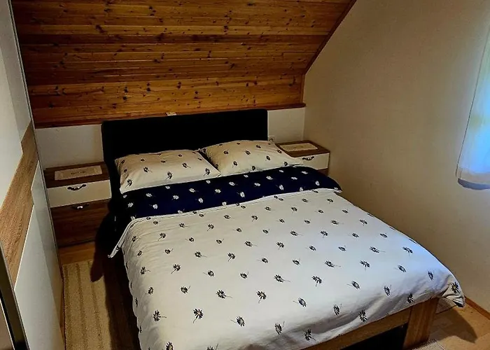 Srcek Počitniška hiša *