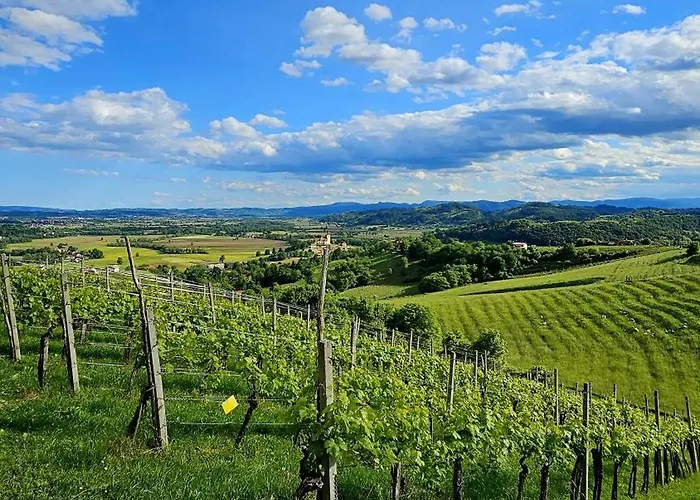 Srcek Počitniška hiša Bizeljsko