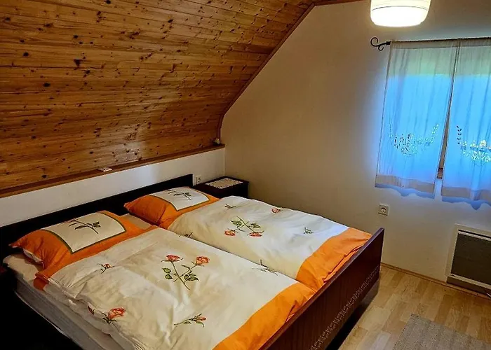 Počitniška hiša Srcek *